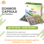 Diamos Capsule – Ayurvedic Support for Healthy Blood Sugar Balance