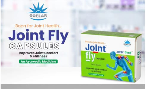 Joint Fly Capsule – Ayurvedic Support for Joint Pain & Mobility