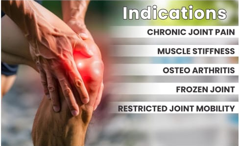 Joint Fly Capsule – Ayurvedic Support for Joint Pain & Mobility