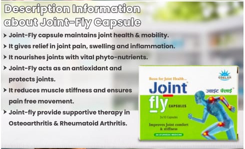 Joint Fly Capsule – Ayurvedic Support for Joint Pain & Mobility