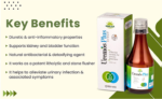 Uremos Plus – Ayurvedic Support for Urinary Tract & Kidney Wellness