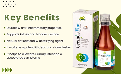 Uremos Plus – Ayurvedic Support for Urinary Tract & Kidney Wellness