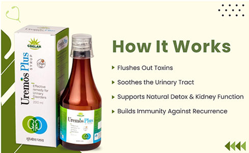 Uremos Plus – Ayurvedic Support for Urinary Tract & Kidney Wellness