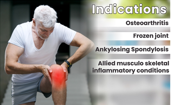 Joint Fly Oil – Ayurvedic Pain Relief Oil for Joints & Muscles