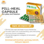 Pill-Heal Capsules - Ayurvedic Support for Piles, Fissures & Digestive Wellness