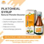 Platoheal Syrup – Ayurvedic Support for Platelet & Immune Health