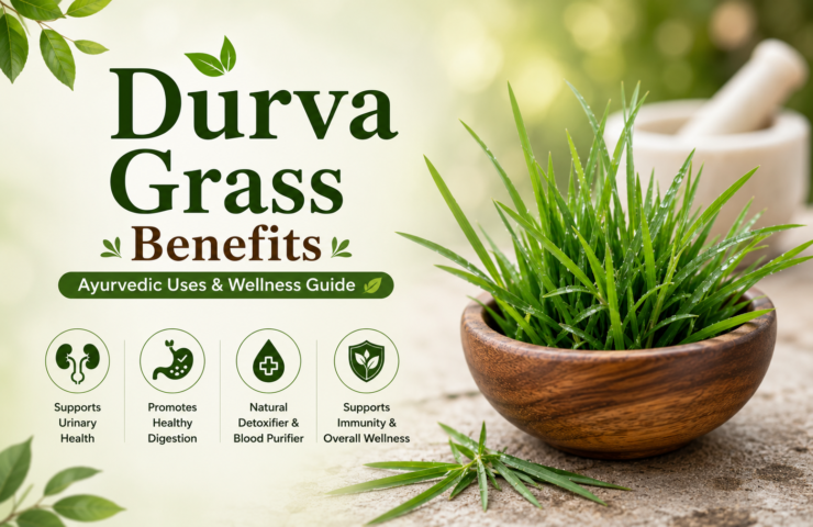 Durva Grass Benefits